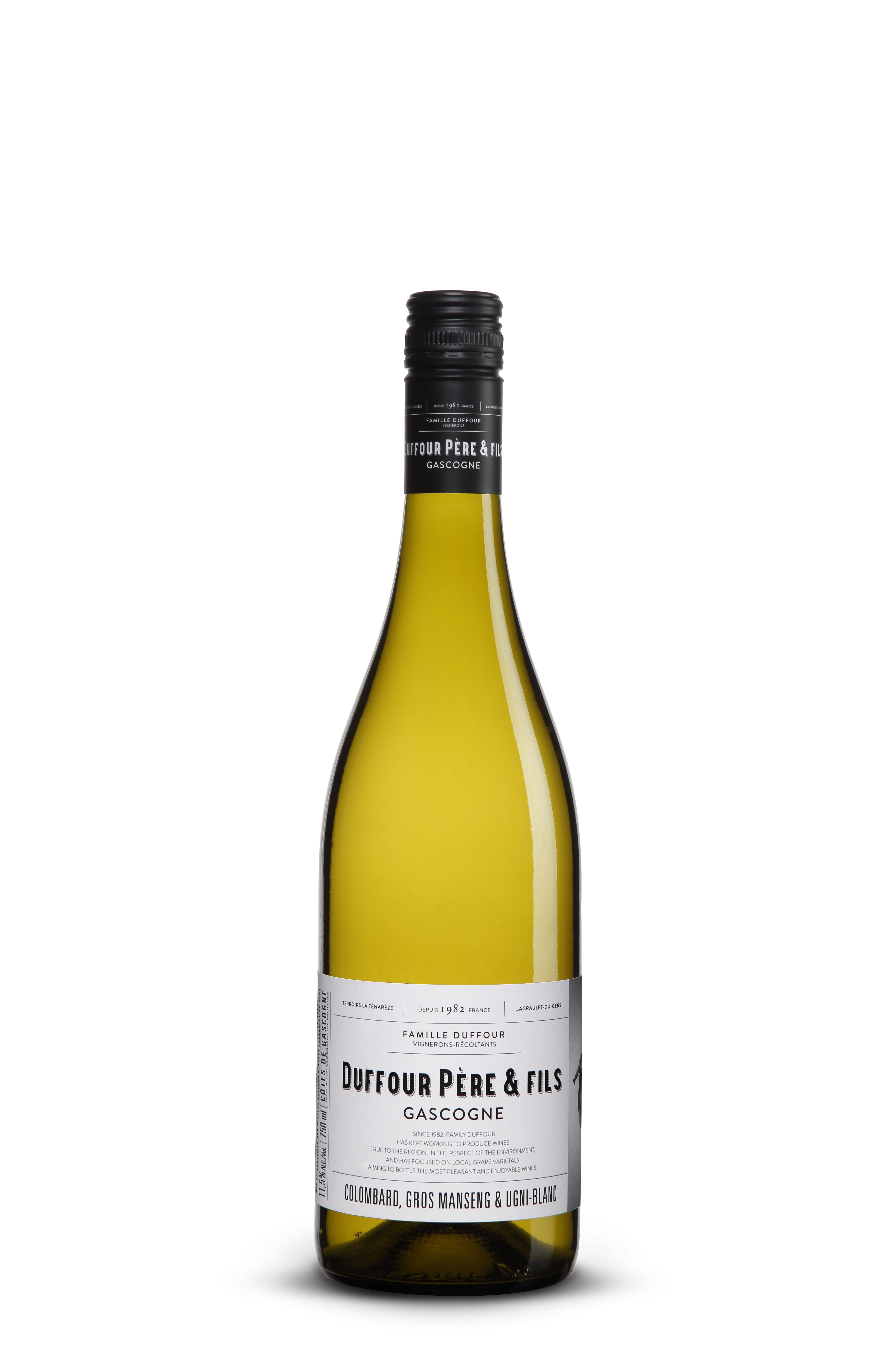 2022 Duffour Blanc Gascogne